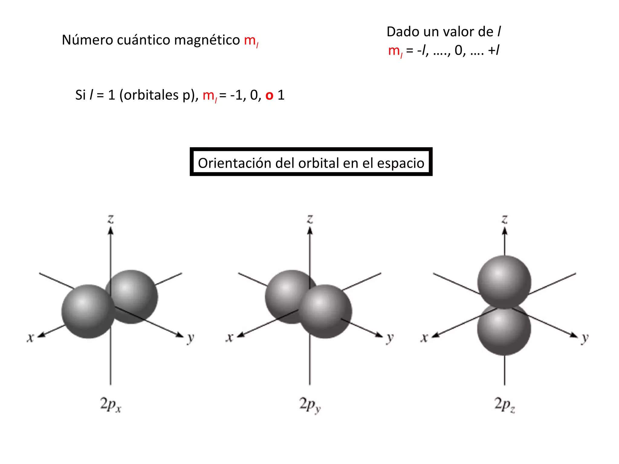 Número cuántico magnético  m l Dado un valor de  l m l  = - l , …., 0, …. + l Orientación del orbital en el espacio Si  l  = 1 (orbitales p),  m l   = -1, 0,  o   1 