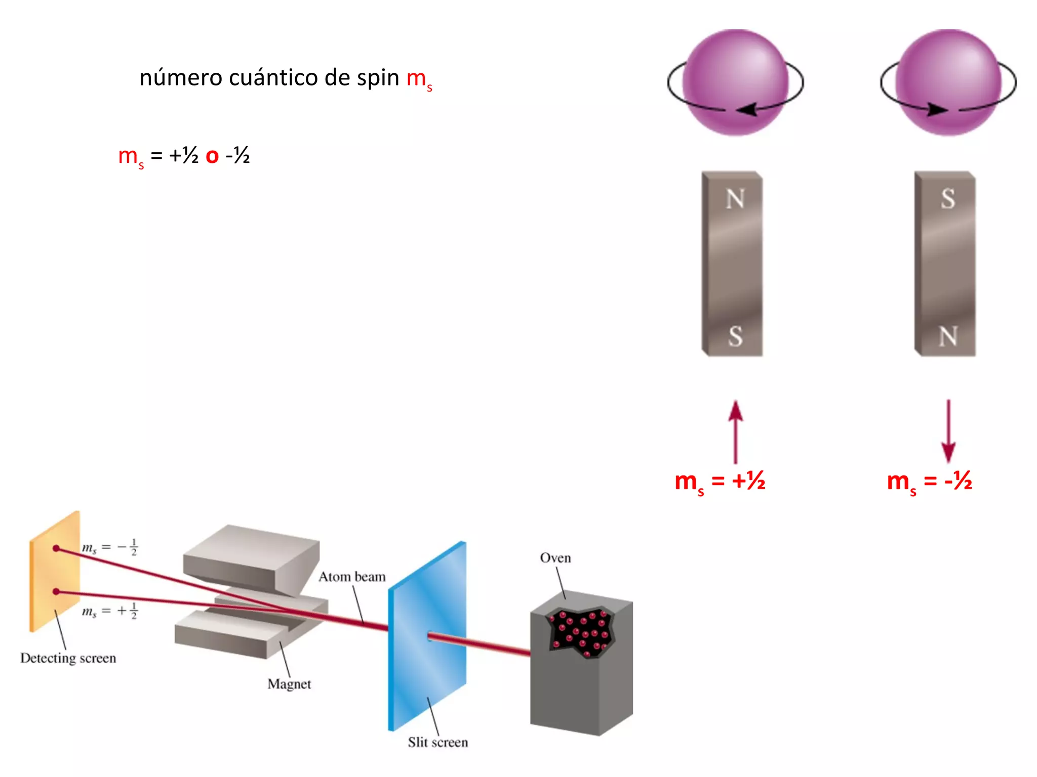 número cuántico de spin  m s m s  = + ½   o  - ½ m s  = - ½ m s  = + ½ 
