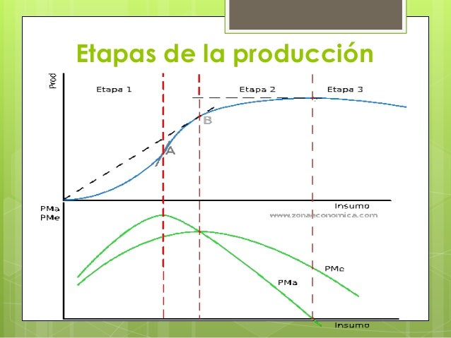 Teoría de la Producción