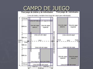 CAMPO DE JUEGO 
