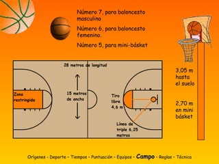 3,05 m
hasta
el suelo
2,70 m
en mini
básket
Número 7, para baloncesto
masculino
Número 6, para baloncesto
femenino.
Número 5, para mini-básket
Orígenes - Deporte – Tiempos – Puntuación – Equipos – Campo – Reglas – Técnica
 