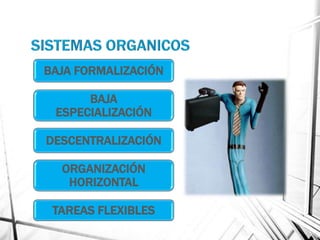 BAJA FORMALIZACIÓN

      BAJA
 ESPECIALIZACIÓN

DESCENTRALIZACIÓN

  ORGANIZACIÓN
   HORIZONTAL

 TAREAS FLEXIBLES
 