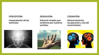 PERCEPCIÓN:
Interpretación de los
estímulos
SENSACIÓN:
Estimulo simples que
recibimos por nuestros
sentidos
COGNICIÓN:
almacenamiento,
recuperación y uso del
conocimiento
 