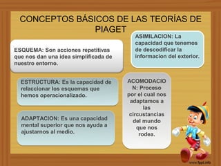 CONCEPTOS BÁSICOS DE LAS TEORÍAS DE
                PIAGET
                                          ASIMILACION: La
                                          capacidad que tenemos
ESQUEMA: Son acciones repetitivas         de descodificar la
que nos dan una idea simplificada de      informacion del exterior.
nuestro entorno.


  ESTRUCTURA: Es la capacidad de       ACOMODACIO
  relaccionar los esquemas que           N: Proceso
  hemos operacionalizado.              por el cual nos
                                        adaptamos a
                                              las
                                        circustancias
  ADAPTACION: Es una capacidad           del mundo
  mental superior que nos ayuda a          que nos
  ajustarnos al medio.                      rodea.
 