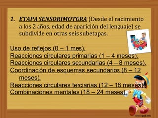 1. ETAPA SENSORIMOTORA (Desde el nacimiento
   a los 2 años, edad de aparición del lenguaje) se
   subdivide en otras seis subetapas.

Uso de reflejos (0 – 1 mes).
Reacciones circulares primarias (1 – 4 meses).
Reacciones circulares secundarias (4 – 8 meses).
Coordinación de esquemas secundarios (8 – 12
  meses).
Reacciones circulares terciarias (12 – 18 meses).
Combinaciones mentales (18 – 24 meses).
 