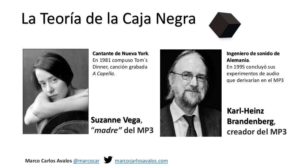 Teoría de la caja negra