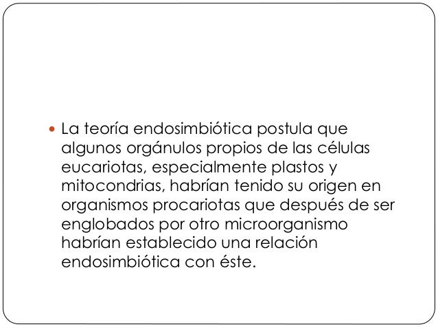  La teoría endosimbiótica postula que
algunos orgánulos propios de las células
eucariotas, especialmente plastos y
mitoco...