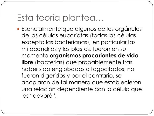 Esta teoría plantea…
 Esencialmente que algunos de los orgánulos
de las células eucariotas (todas las células
excepto las...