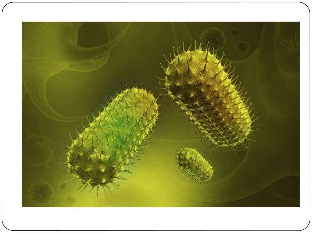 Teoría de la endosimbiosis (Biologia)