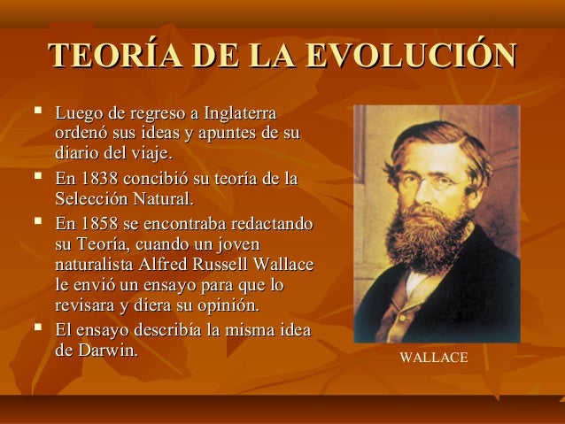 La teoría de la evolución de Alfred Russel Wallace: Descubre sus aportes_teorias Teoria politica_teorias