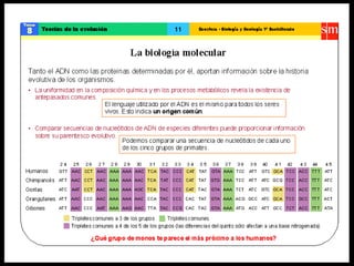Teoría de la evolución