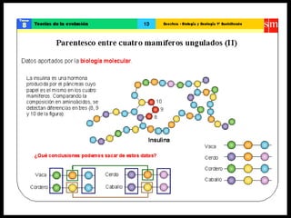 Teoría de la evolución