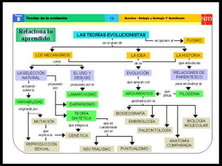 Teoría de la evolución