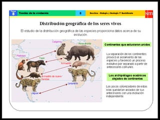 Teoría de la evolución