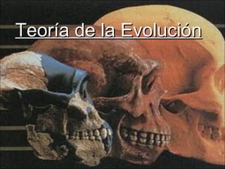Teoría de la Evolución 