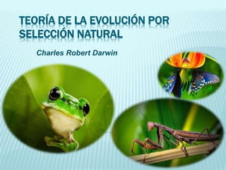 TEORÍA DE LA EVOLUCIÓN POR
SELECCIÓN NATURAL
Charles Robert Darwin
 