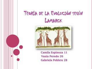 TEORÍA DE LA EVOLUCIÓN SEGÚN
          LAMARCK




        Camila Espinoza 11
        Vania Peredo 26
        Gabriela Poblete 28
 
