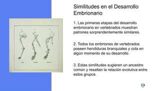 Teora de la Evolucin Un Viaje a Travs del Tiempo.pptx