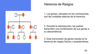 Teora de la Evolucin Un Viaje a Travs del Tiempo.pptx