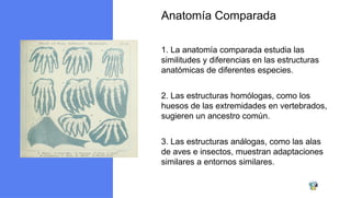 Teora de la Evolucin Un Viaje a Travs del Tiempo (1).pptx