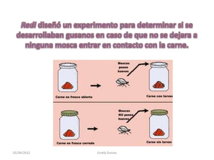 Teoría de la generación espontanea Teoría de la generación espontanea