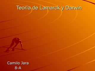 Teoría de Lamarck y Darwin Camilo Jara 8-A 