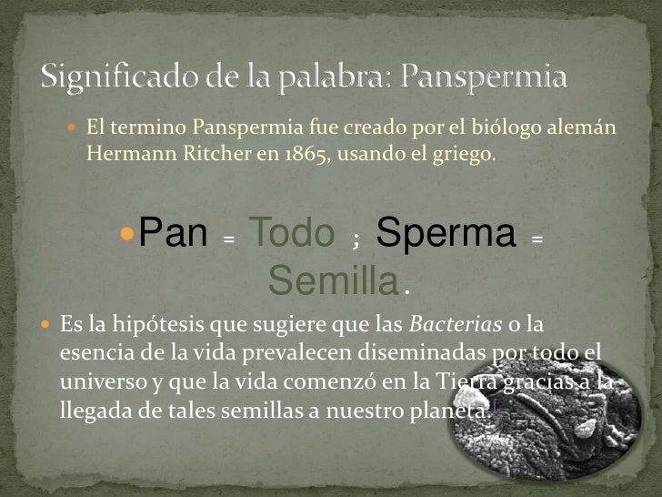 Teoria de la pans