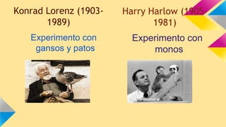 Konrad Lorenz (19031989)
Experimento con
gansos y patos

Harry Harlow (19051981)
Experimento con
monos

 