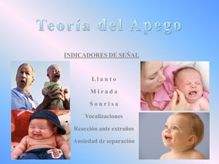 INDICADORES DE SEÑAL

Lla n t o
Mirada
Sonrisa
Vocalizaciones
Reacción ante extraños
Ansiedad de separación

 