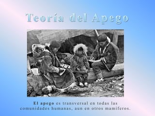 El apego es transversal en todas las
comunidades humanas, aun en otros mamíferos.

 