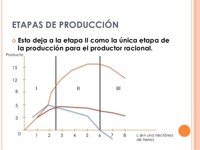 Teoría de la producción