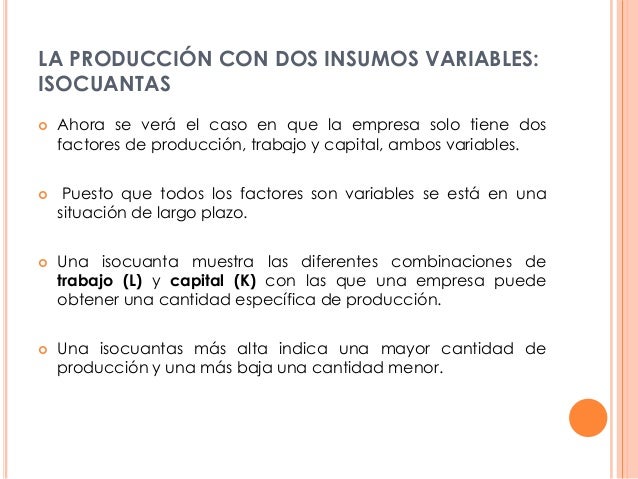 Teoría de la producción