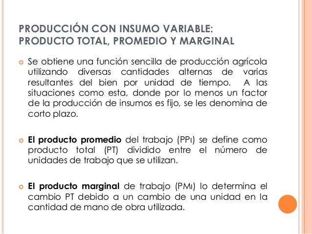 Teoría de la producción