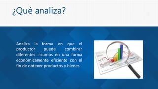 ¿Qué analiza?
Analiza la forma en que el
productor puede combinar
diferentes insumos en una forma
económicamente eficiente con el
fin de obtener productos y bienes.
 
