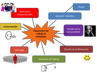 Social
              Relaciones
           Interpersonales
                                                  Atención individuo



Comunicación
                                                             Estudio de la
                             Adaptación del                  personalidad
                                trabajo al
                               trabajador




         Liderazgo                                        Estudio de la Motivación



                                 Incentivos de trabajo
 