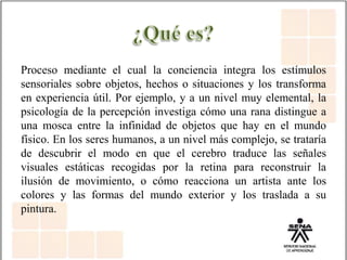 Proceso mediante el cual la conciencia integra los estímulos
sensoriales sobre objetos, hechos o situaciones y los transforma
en experiencia útil. Por ejemplo, y a un nivel muy elemental, la
psicología de la percepción investiga cómo una rana distingue a
una mosca entre la infinidad de objetos que hay en el mundo
físico. En los seres humanos, a un nivel más complejo, se trataría
de descubrir el modo en que el cerebro traduce las señales
visuales estáticas recogidas por la retina para reconstruir la
ilusión de movimiento, o cómo reacciona un artista ante los
colores y las formas del mundo exterior y los traslada a su
pintura.
 