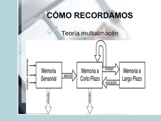 CÓMO RECORDAMOS
Teoría multialmacén
 