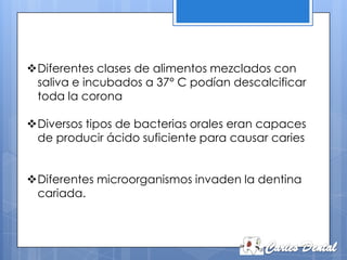 Diferentes clases de alimentos mezclados con
 saliva e incubados a 37° C podían descalcificar
 toda la corona

Diversos tipos de bacterias orales eran capaces
 de producir ácido suficiente para causar caries


Diferentes microorganismos invaden la dentina
 cariada.
 