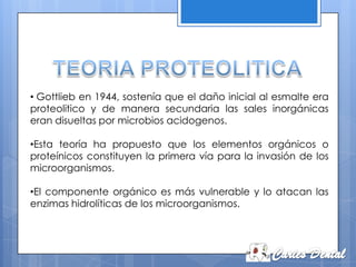 • Gottlieb en 1944, sostenía que el daño inicial al esmalte era
proteolitico y de manera secundaria las sales inorgánicas
eran disueltas por microbios acidogenos.

•Esta teoría ha propuesto que los elementos orgánicos o
proteínicos constituyen la primera vía para la invasión de los
microorganismos.

•El componente orgánico es más vulnerable y lo atacan las
enzimas hidrolíticas de los microorganismos.
 