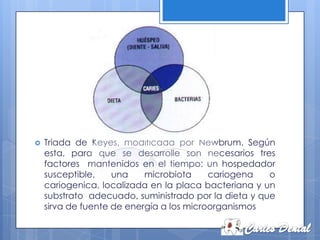    Triada de Keyes, modificada por Newbrum. Según
    esta, para que se desarrolle son necesarios tres
    factores mantenidos en el tiempo: un hospedador
    susceptible,    una    microbiota     cariogena   o
    cariogenica, localizada en la placa bacteriana y un
    substrato adecuado, suministrado por la dieta y que
    sirva de fuente de energía a los microorganismos
 
