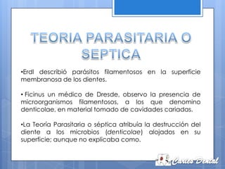 •Erdl describió parásitos filamentosos en la superficie
membranosa de los dientes.

• Ficinus un médico de Dresde, observo la presencia de
microorganismos filamentosos, a los que denomino
denticolae, en material tomado de cavidades cariadas.

•La Teoría Parasitaria o séptica atribuía la destrucción del
diente a los microbios (denticolae) alojados en su
superficie; aunque no explicaba como.
 