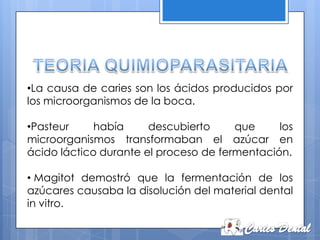 •La causa de caries son los ácidos producidos por
los microorganismos de la boca.

•Pasteur     había     descubierto     que     los
microorganismos transformaban el azúcar en
ácido láctico durante el proceso de fermentación.

• Magitot demostró que la fermentación de los
azúcares causaba la disolución del material dental
in vitro.
 