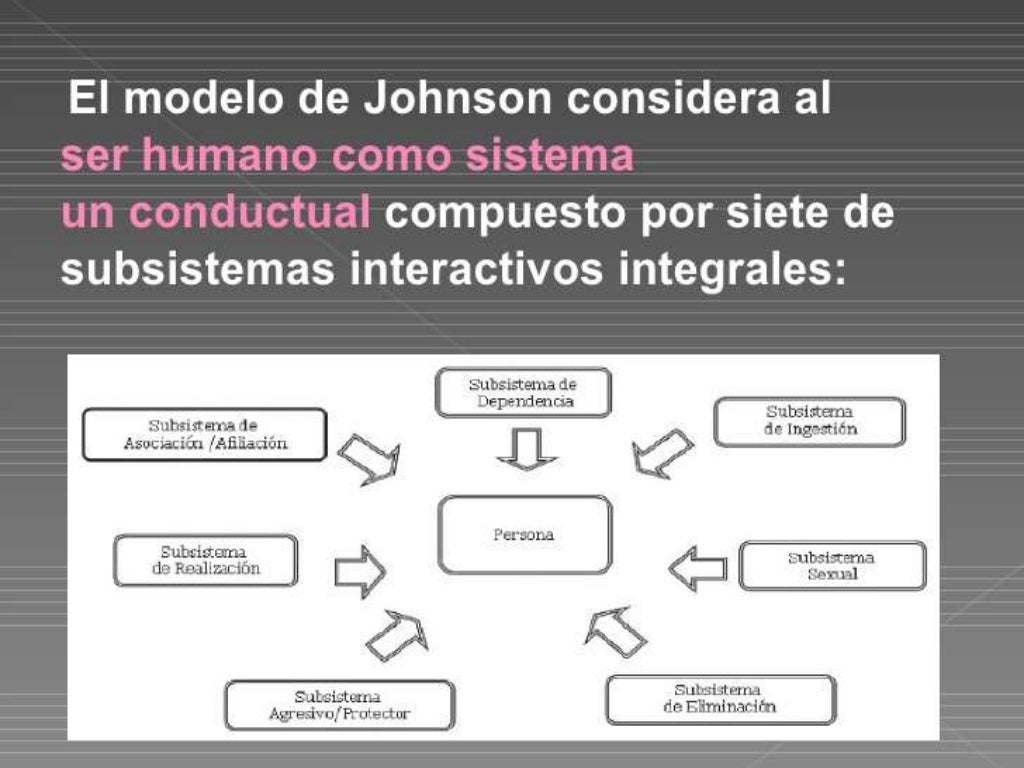 Teoría del sistema conductual