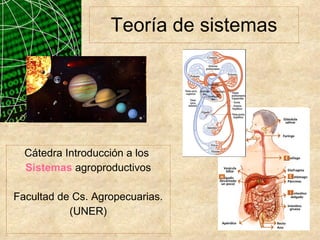 Teoría de sistemas Cátedra Introducción a los  Sistemas  agroproductivos Facultad de Cs. Agropecuarias. (UNER) 