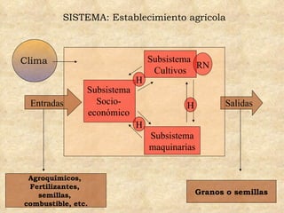 Subsistema  Cultivos Subsistema maquinarias Entradas Salidas RN H Subsistema Socio-económico Clima SISTEMA: Establecimiento agrícola H H Agroquímicos,  Fertilizantes,  semillas,  combustible, etc. Granos o semillas 