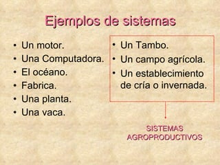 Ejemplos de sistemas Un motor. Una Computadora. El océano. Fabrica. Una planta. Una vaca. Un Tambo. Un campo agrícola. Un establecimiento de cría o invernada. SISTEMAS AGROPRODUCTIVOS 