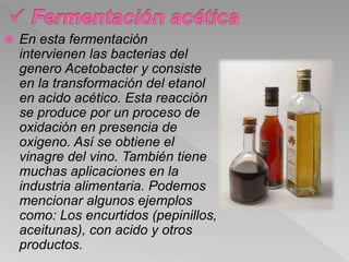  En esta fermentación
intervienen las bacterias del
genero Acetobacter y consiste
en la transformación del etanol
en acido acético. Esta reacción
se produce por un proceso de
oxidación en presencia de
oxigeno. Así se obtiene el
vinagre del vino. También tiene
muchas aplicaciones en la
industria alimentaria. Podemos
mencionar algunos ejemplos
como: Los encurtidos (pepinillos,
aceitunas), con acido y otros
productos.
 