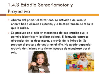 1.4.3 Estadio Sensoriomotor y
Proyectivo
 Abarca del primer al tercer año. La actividad del niño se
orienta hacia el mundo exterior, y a la comprensión de todo lo
que le rodea.
 Se produce en el niño un mecanismo de exploración que le
permite identificar y localizar objetos. El lenguaje aparece
alrededor de los doce meses, a través de la imitación. Se
produce el proceso de andar en el niño. No puede depender
todavía de sí mismo y se siente incapaz de manejarse por sí
solo.
 