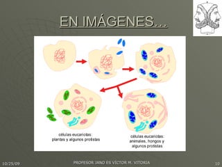 EN IMÁGENES… 