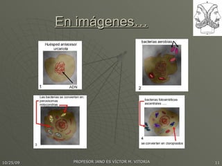 En imágenes… 